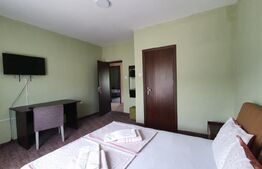 Oportunitate! Vilă de 760 mp, 3000 mp teren, în Băile Felix