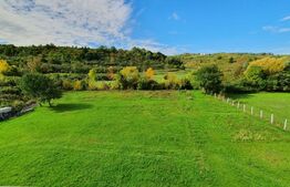 Oportunitate! Vilă de 760 mp, 3000 mp teren, în Băile Felix