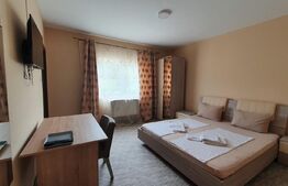 Oportunitate! Vilă de 760 mp, 3000 mp teren, în Băile Felix