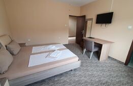 Oportunitate! Vilă de 760 mp, 3000 mp teren, în Băile Felix