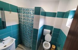 Oportunitate! Vilă de 760 mp, 3000 mp teren, în Băile Felix