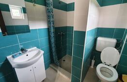 Oportunitate! Vilă de 760 mp, 3000 mp teren, în Băile Felix