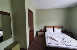 Oportunitate! Vilă de 760 mp, 3000 mp teren, în Băile Felix