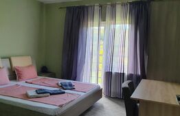 Oportunitate! Vilă de 760 mp, 3000 mp teren, în Băile Felix