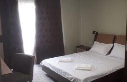 Oportunitate! Vilă de 760 mp, 3000 mp teren, în Băile Felix