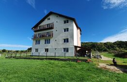 Oportunitate! Vilă de 760 mp, 3000 mp teren, în Băile Felix