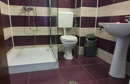 Oportunitate! Vilă de 760 mp, 3000 mp teren, în Băile Felix