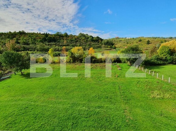 Casa de vânzare 17 camere Baile Felix - 98202CV | BLITZ Oradea | Poza3