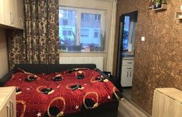 Garsoniera, 21 mp, semidecomandat, Seleus 