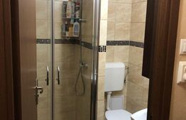 Garsoniera, 21 mp, semidecomandat, Seleus 