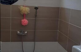 Apartament de 2 camere la casa, 71 mp, zona Cantemir