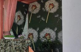 Apartament de 2 camere la casa, 71 mp, zona Cantemir