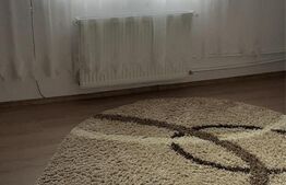 Apartament de 2 camere la casa, 71 mp, zona Cantemir