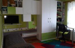 Apartament de 2 camere, 50 mp, mobilat/utilat, Velenta