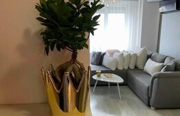 Apartament de 3 camere, 71 mp, mobilat/utilat, zona Decebal