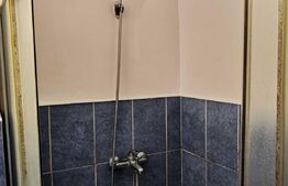 Apartament de 1 camera, 21 mp, etaj intermediar, zona Rogerius