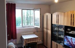Apartament de 1 camera, 21 mp, etaj intermediar, zona Rogerius