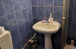 Apartament de 1 camera, 21 mp, etaj intermediar, zona Rogerius