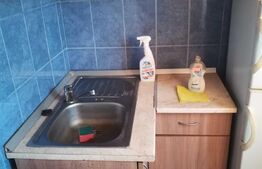 Apartament de 1 camera, 21 mp, etaj intermediar, zona Rogerius