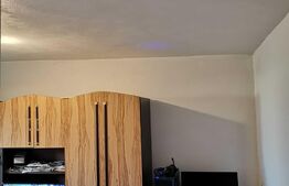 Apartament de 1 camera, 21 mp, etaj intermediar, zona Rogerius