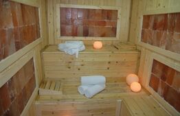 Hotel 4 stele, 36 de camere, centru SPA, teren de 4800 mp