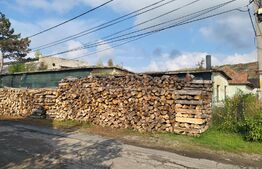 Oportunitate! Spatiu industrial, 2200 mp,  Alesd