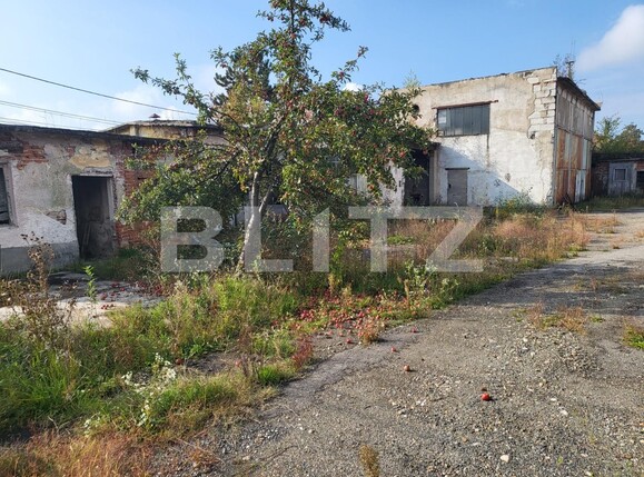 Spațiu industrial de vânzare Aleşd - 99435SVI | BLITZ Oradea | Poza3