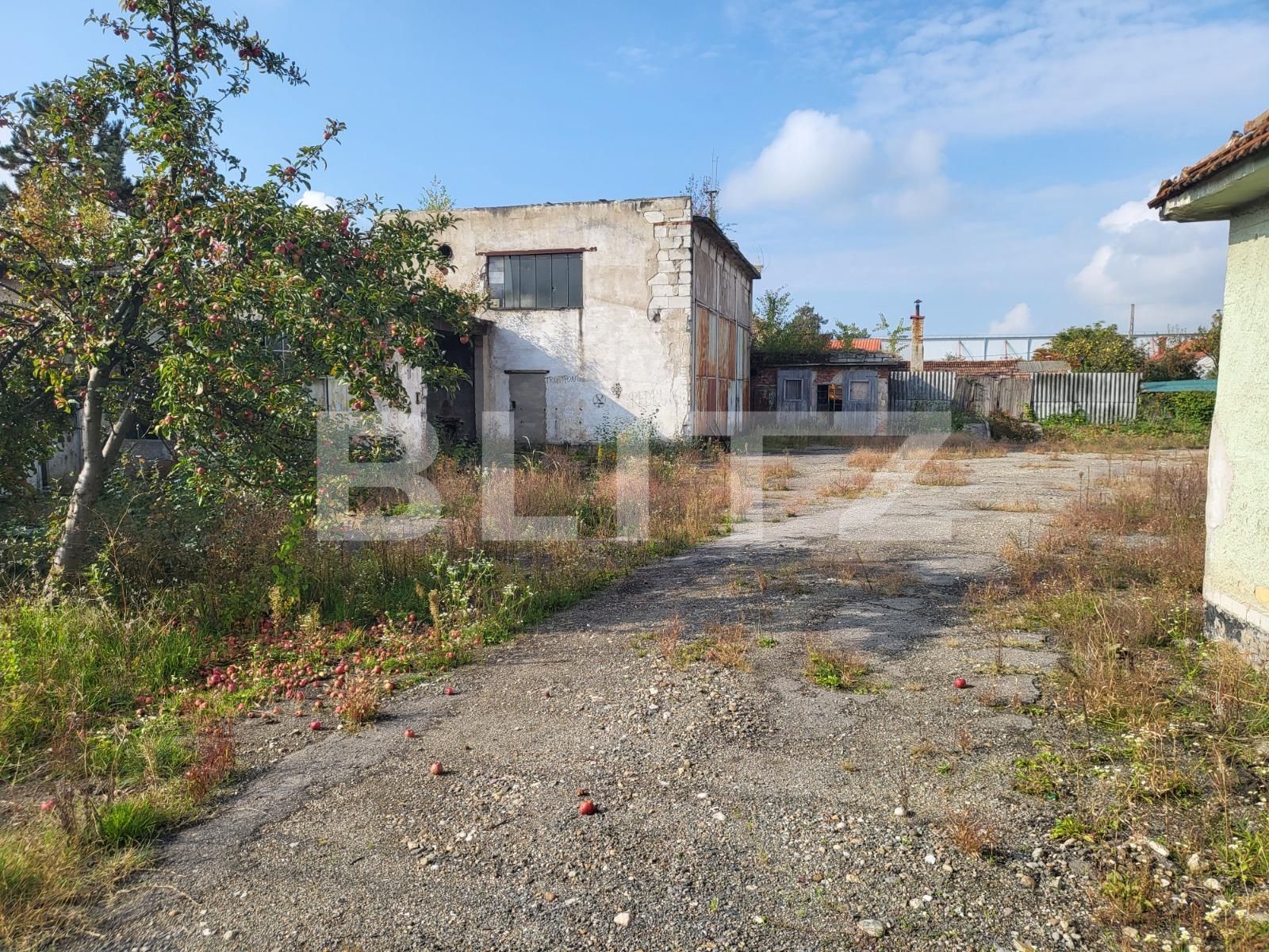 Spațiu industrial de vânzare Aleşd - 99435SVI | BLITZ Oradea | Poza5