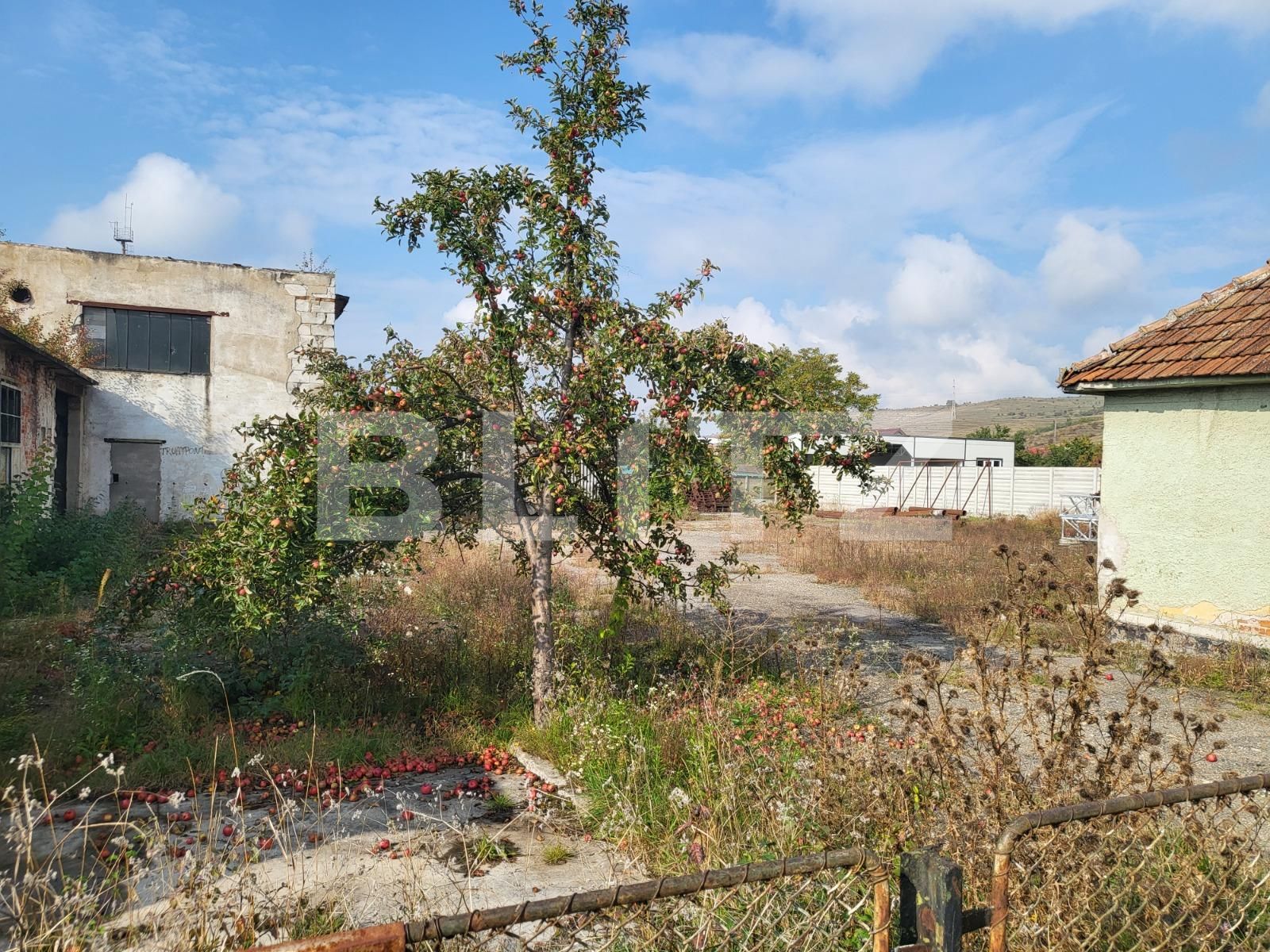 Spațiu industrial de vânzare Aleşd - 99435SVI | BLITZ Oradea | Poza7