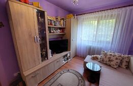 Apartament 2 camere, 33 mp, tip Z, parter, Nufarul