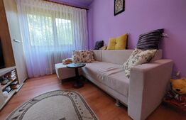 Apartament 2 camere, 33 mp, tip Z, parter, Nufarul