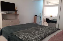 Garsoniera decomandata, 39 mp, Nufarul, preluare de chiriasi