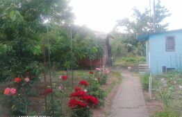 Casa de 5 camere, 160 mp, teren 500 mp, zona Iosia 