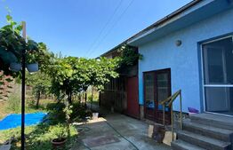 Casa de 5 camere, 160 mp, teren 500 mp, zona Iosia 