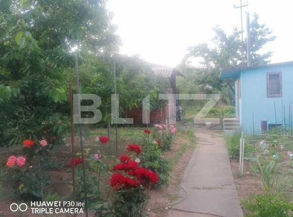 Casa de vânzare 5 camere Iosia - 99946CV | BLITZ Oradea | Poza6