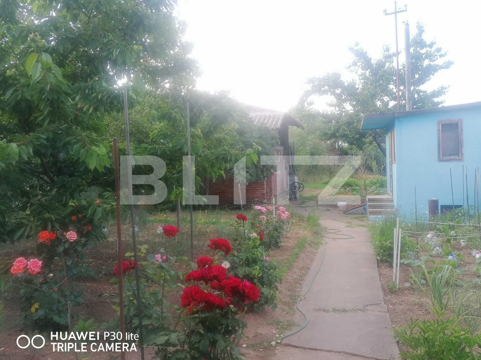 Casa de vânzare 5 camere Iosia - 99946CV | BLITZ Oradea | Poza6