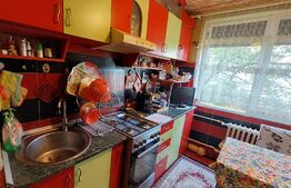 Apartament 2 camere, tip F, 45 mp, balcon, etaj intermediar, zona Rogerius