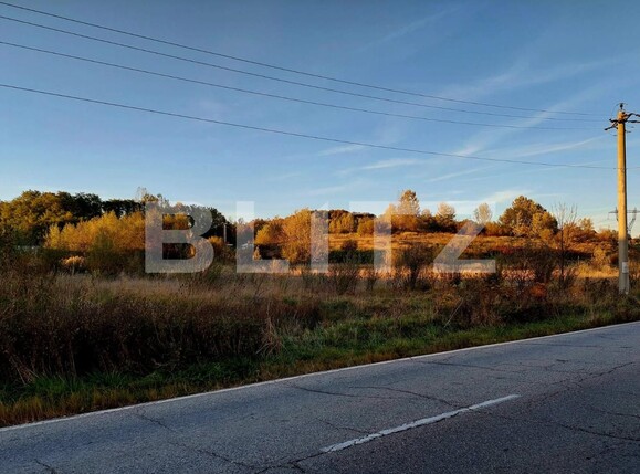 Teren de vânzare Curtea de Argeș - 100090TV | BLITZ Pitești | Poza1