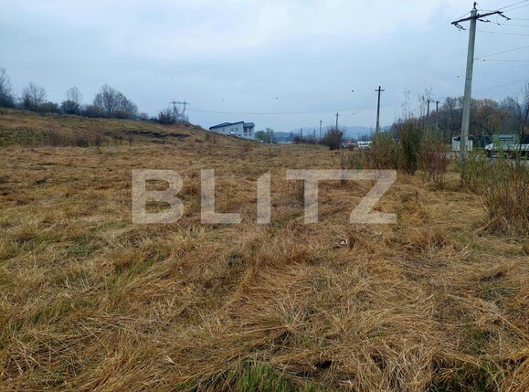 Teren de vânzare Curtea de Argeș - 100090TV | BLITZ Pitești | Poza4