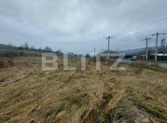 Teren de vânzare Curtea de Argeș - 100090TV | BLITZ Pitești | Poza8