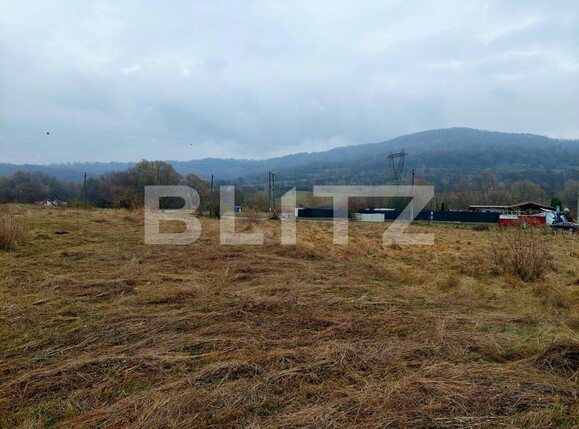 Teren de vânzare Curtea de Argeș - 100090TV | BLITZ Pitești | Poza3