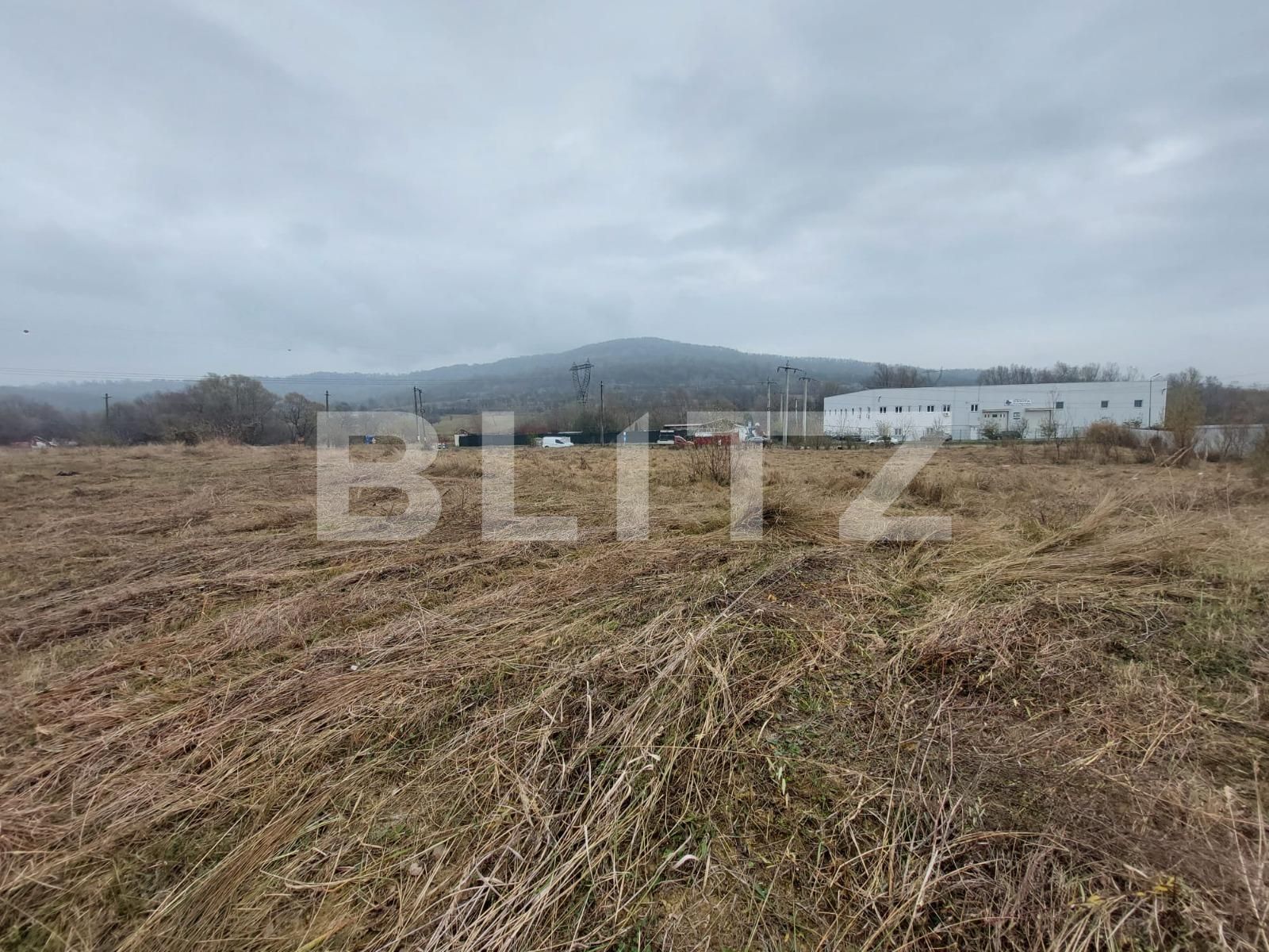 Teren de vânzare Curtea de Argeș - 100090TV | BLITZ Pitești | Poza5