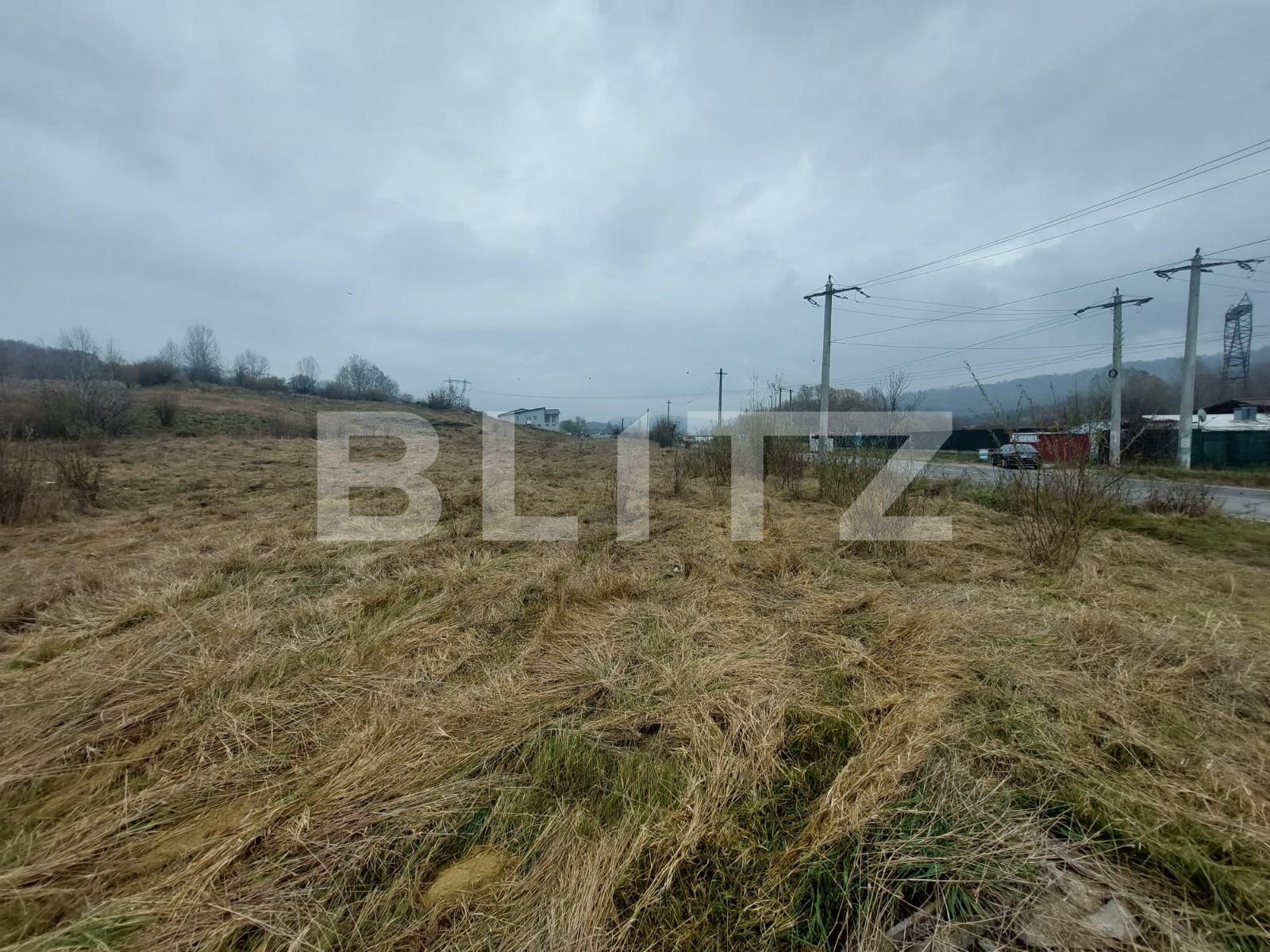 Teren de vânzare Curtea de Argeș - 100090TV | BLITZ Pitești | Poza8