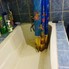 Garsonieră de vânzare Prundu - 100184AV - Poza 1 din 7 | BLITZ Pitești | Poza6