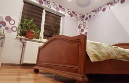Apartamen 3 camere, 65 mp, decomandat, Tudor Vladimirescu