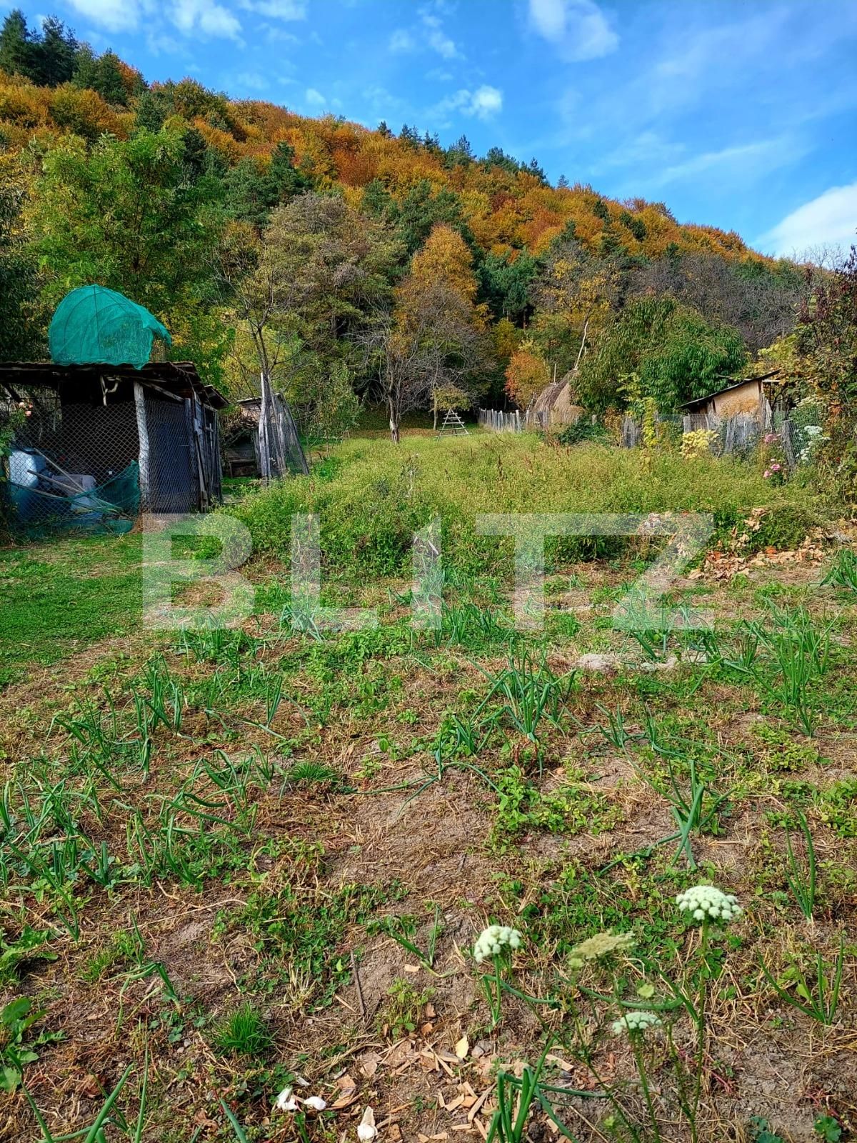 Casa de vânzare 3 camere Curtea de Argeș - 100257CV | BLITZ Pitești | Poza14