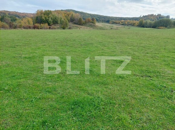 Teren de vânzare Curtea de Argeș - 100265TV | BLITZ Pitești | Poza2