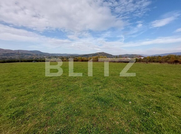 Teren de vânzare Curtea de Argeș - 100265TV | BLITZ Pitești | Poza4