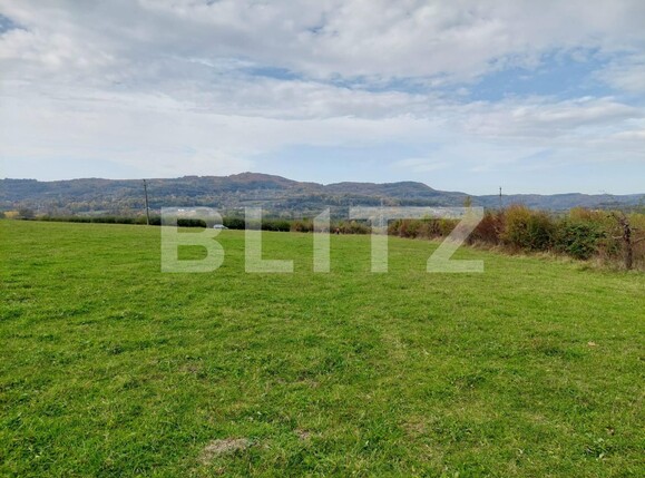 Teren de vânzare Curtea de Argeș - 100265TV | BLITZ Pitești | Poza1