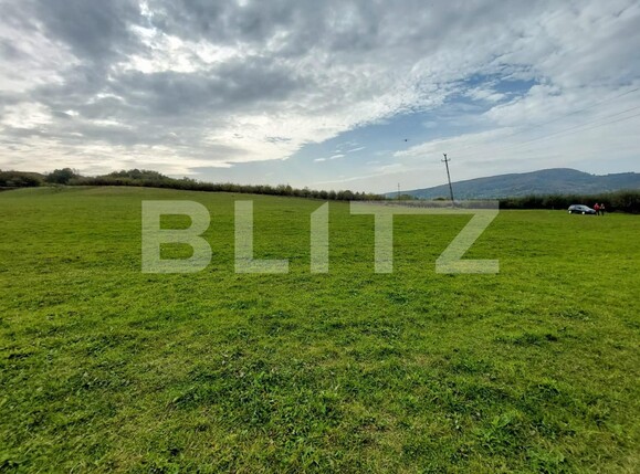 Teren de vânzare Curtea de Argeș - 100265TV | BLITZ Pitești | Poza3